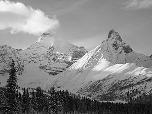 Mount Athabasca från norr