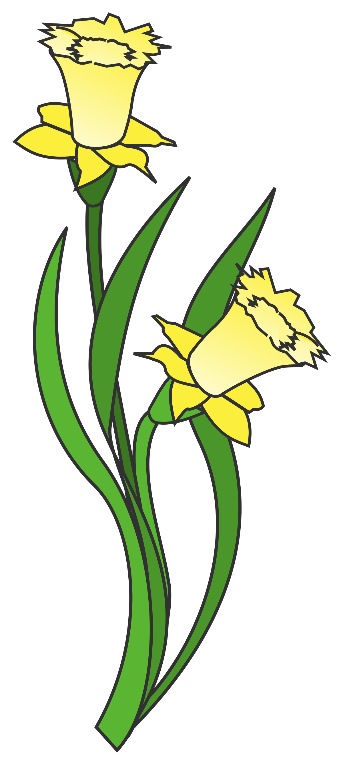 Free Free 112 Narcissus Flower Svg SVG PNG EPS DXF File