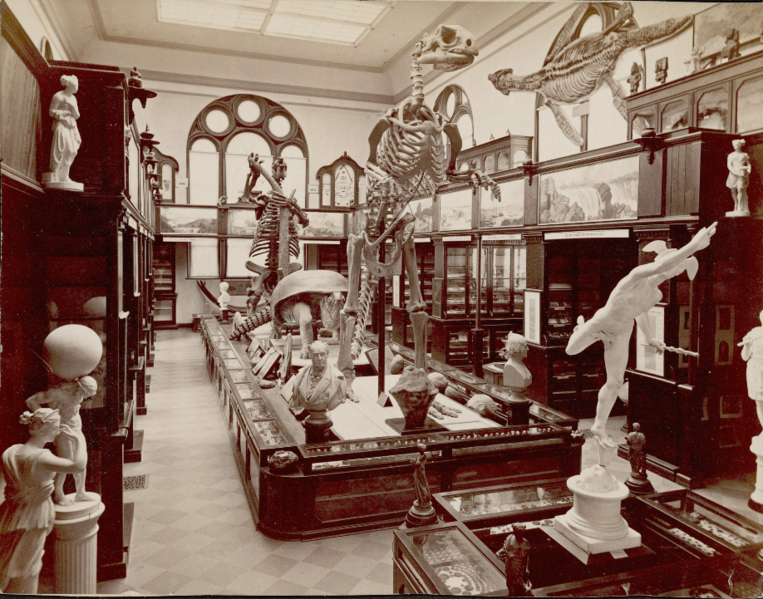 File:Nassau Hall Museum (1886).png