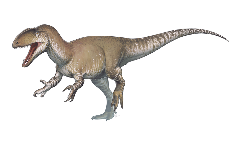 File:Neovenator.png