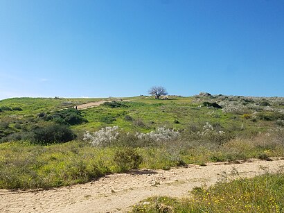 איך מגיעים באמצעות תחבורה ציבורית  לגן לאומי גבעות הכורכר? - מידע על המקום