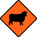 (TW-6.1) Watch for large animals (sheep)