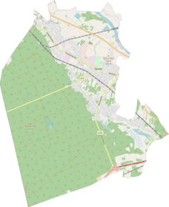 Mapa konturowa Niska, blisko centrum na prawo u góry znajduje się punkt z opisem „Liceum Ogólnokształcące im. Stefana Czarnieckiego w Nisku”