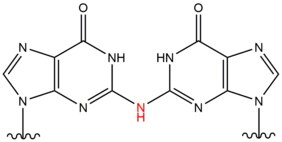 Estructura química de la reticulación del ADN inducida por ácido nitroso.