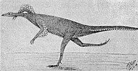 Illustration of "a running Pro-Avis" as envisioned by Franz Nopcsa in 1907 after having seen the Pycraft restoration "One of the Pro-Aves".