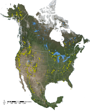 Map of North American fire scar network. NorthAmericanTreeRingFireScarNetworkMap.png