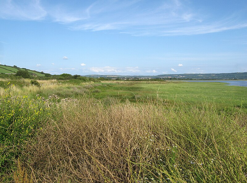 File:North bank of the Gwendraeth estuary - geograph.org.uk - 3592730.jpg