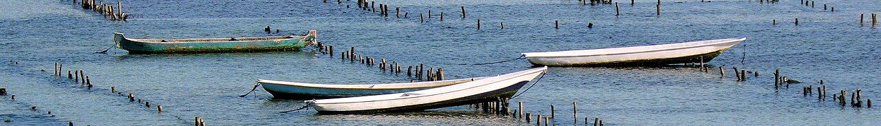 Nusa Lembongan (Bali) banner Seaweed farming