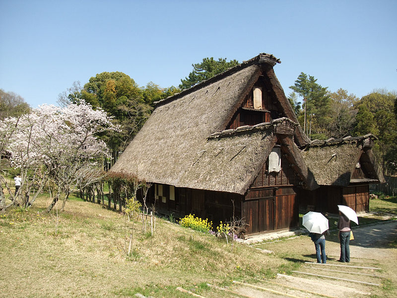 File:Old Japanese houses Museum Shirakawa.JPG