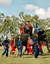 Elephant Festival