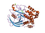 PDB 1eeo EBI.jpg