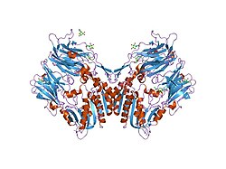 PDB 1nu6 EBI.jpg