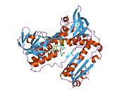 PDB 2grt EBI.jpg