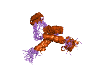 TEAD2 Protein-coding gene in the species Homo sapiens