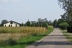 Podkampinos'ta yol kenarı evleri