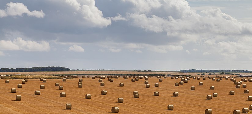 Straw bales, Wilsthire county, England