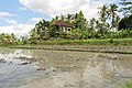 * Nomination Paddy fields and a house in Ubud, Bali, Indonesia --Jakubhal 05:48, 26 February 2023 (UTC) * Promotion  Support Good quality.--Famberhorst 05:59, 26 February 2023 (UTC)