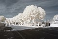 Français : Place des Platanes, Pagny-le-Château (Côte d'Or, Bourgogne, France) photographié avec un filtre infrarouge 720 nm. Català: Plaça dels Plàtans, Pagny-le-Château (Costa d'Or, Borgonya, França) fotografiat amb un filtre infraroig 720 nm. Español: Plaza de los Platanos, Pagny-le-Château (Côte d'Or, Borgoña, Francia) fotografiado con un filtro infrarrojo 720 nm.