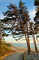 Palanga, Baltic Sea 2007 - panoramio.jpg