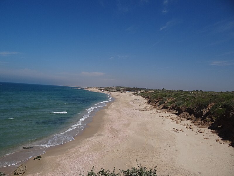 File:Palmachim beach.JPG