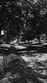 Paving Lincoln St., about 1935