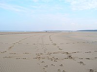 The beach at Holkham National Nature Reserve