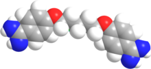 Immagine illustrativa dell'articolo Pentamidine