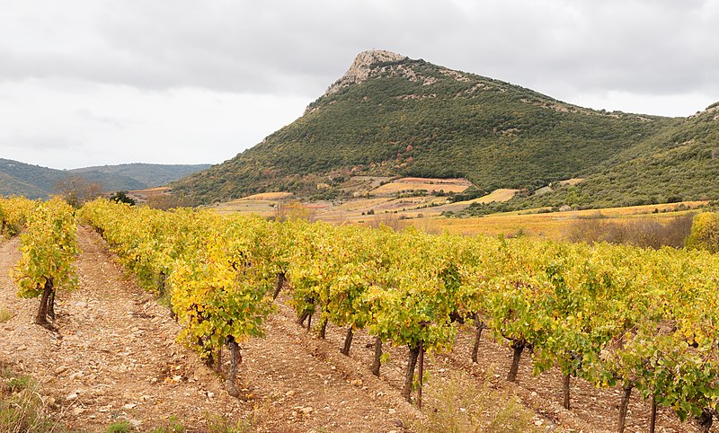 File:Pic de Vissou et vignes 01.jpg