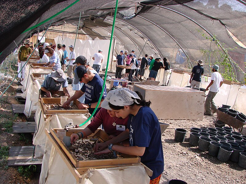 File:PikiWiki Israel 38209 Archaeological Sifting Earth from the Temple Mount.JPG