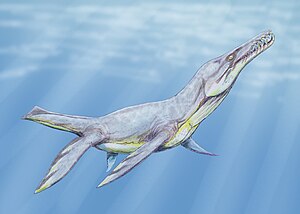 Levande konstnärlig representation av Plesiopleurodon