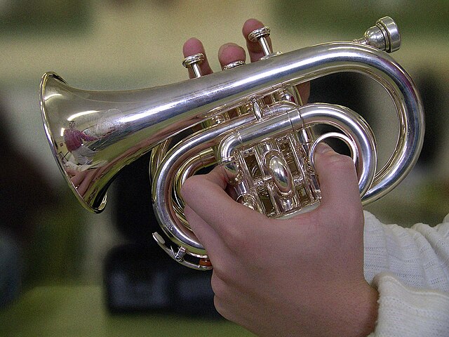 https://upload.wikimedia.org/wikipedia/commons/thumb/6/61/Pocket_trumpet.jpg/640px-Pocket_trumpet.jpg