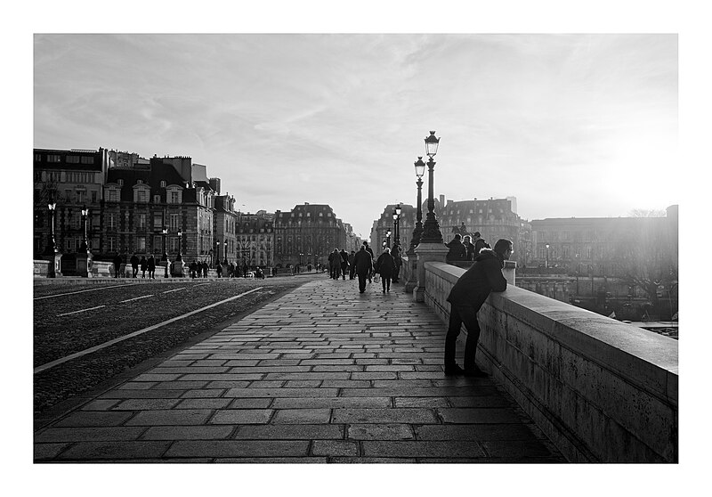 File:Pont Neuf (31694041923).jpg