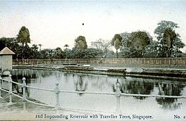 Postkartenbild von Mount Emily Reservoir, circa 1911. Mount Emily Reservoir, umgeben von Geländer mit Traveller Trees im Hintergrund.  Postkarte mit Text des 2. Stausees mit Traveller Trees, Singapur am unteren Rand.