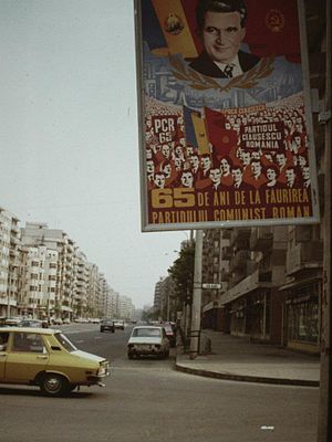 Nicolae Ceaușescu: Tuổi trẻ và sự nghiệp, Lãnh đạo Romania, Cách mạng