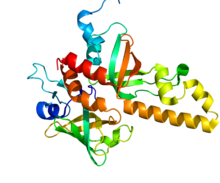 Protein RMI1 PDB 3MXN.png
