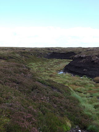 <span class="mw-page-title-main">Arkengarthdale Gunnerside and Reeth Moors</span> Moorlands in the Yorkshire Dales, England
