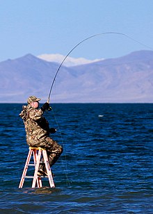 Photo of angler on ladder in lake