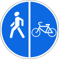 4.5.5 getrennter Fuß- und Radweg (Radweg rechts)