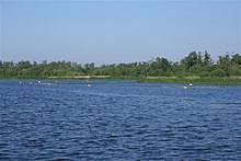 Restoration measures, Barton Broad - geograph.org.uk - 690476.jpg