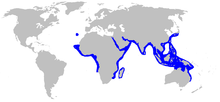 Mapa světa s modrými obrysy podél západního pobřeží Afriky, kolem okraje Indického oceánu a na západě Tichého oceánu od Japonska po Indonésii do severní Austrálie