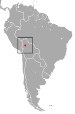 Miniatura para Callicebus modestus