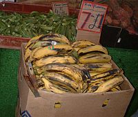 Plantain