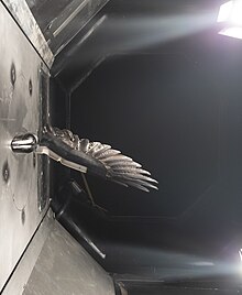 Hybrid robotic wing in Lund University wind tunnel.