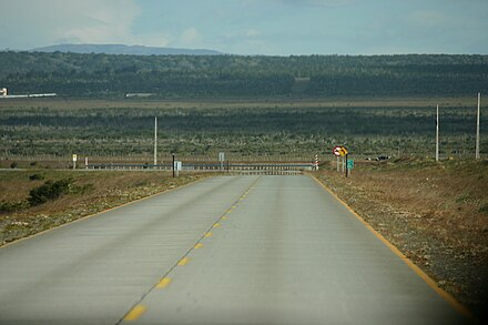 View of the road between Punta Arenas and Puerto Natales.