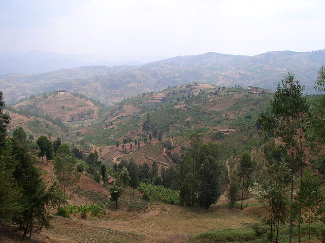 La région des mille collines, au Rwanda.