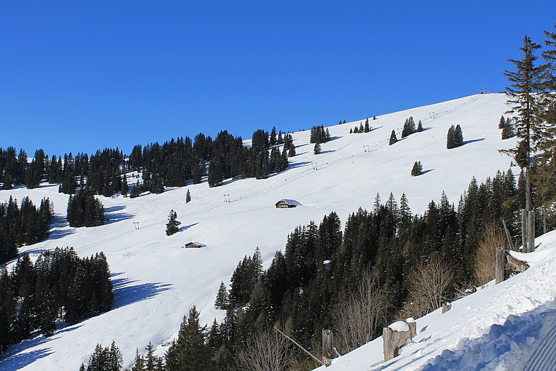 File:Saanenmöser - Plani - Rellerli - panoramio (33).jpg