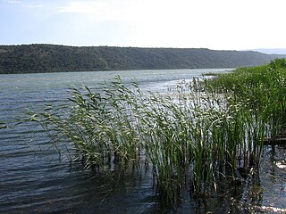 <span class="mw-page-title-main">Lake Šas</span> Body of water