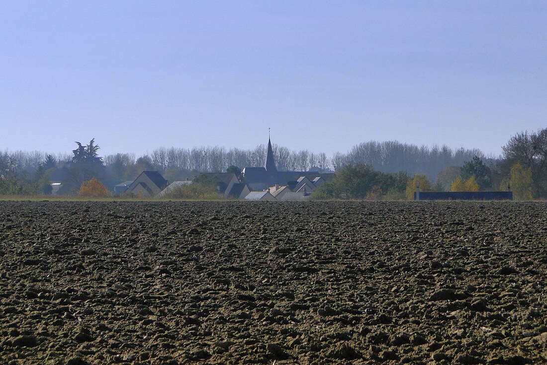 Savigné-sous-le-Lude