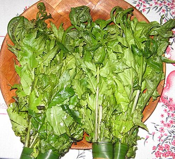 File:Sayur pakis.jpg