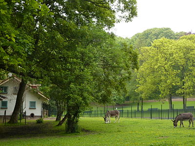 Parc Josaphat